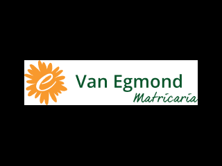 Van Egmond Matricaria