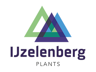 IJzelenberg Plants