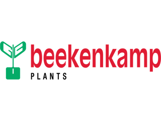 Beekenkamp Plants