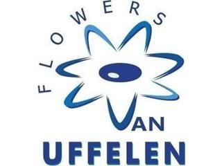 Van Uffelen Flowers