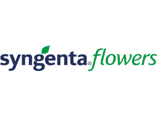 Syngenta Flowers